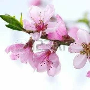 Meet your Posher, Teri